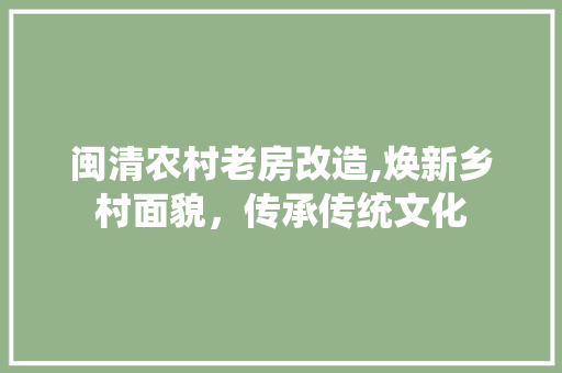 闽清农村老房改造,焕新乡村面貌，传承传统文化