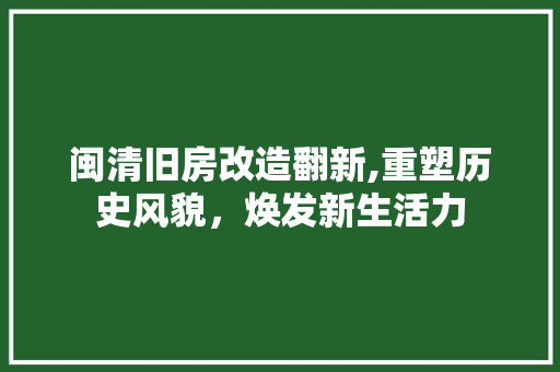 闽清旧房改造翻新,重塑历史风貌，焕发新生活力