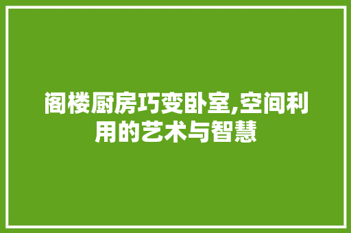 阁楼厨房巧变卧室,空间利用的艺术与智慧