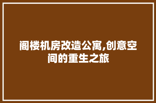 阁楼机房改造公寓,创意空间的重生之旅