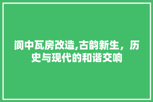 阆中瓦房改造,古韵新生，历史与现代的和谐交响