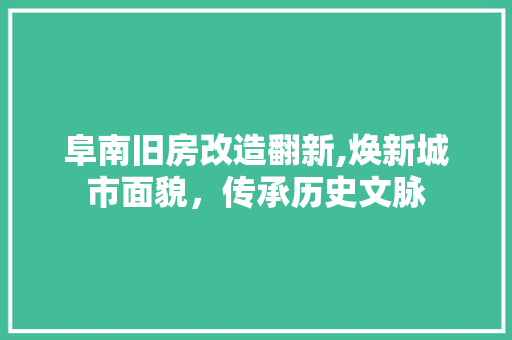阜南旧房改造翻新,焕新城市面貌，传承历史文脉