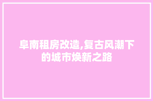 阜南租房改造,复古风潮下的城市焕新之路