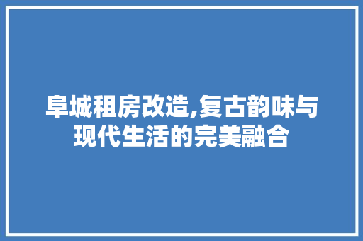 阜城租房改造,复古韵味与现代生活的完美融合