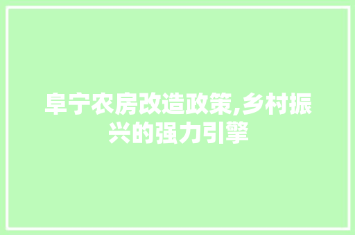 阜宁农房改造政策,乡村振兴的强力引擎