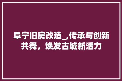 阜宁旧房改造_,传承与创新共舞，焕发古城新活力