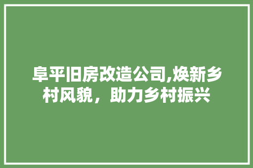 阜平旧房改造公司,焕新乡村风貌，助力乡村振兴
