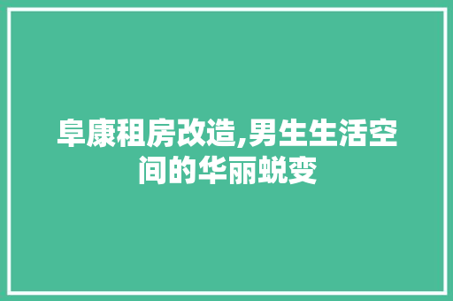 阜康租房改造,男生生活空间的华丽蜕变