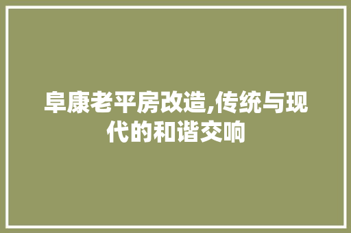 阜康老平房改造,传统与现代的和谐交响