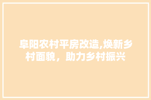阜阳农村平房改造,焕新乡村面貌，助力乡村振兴