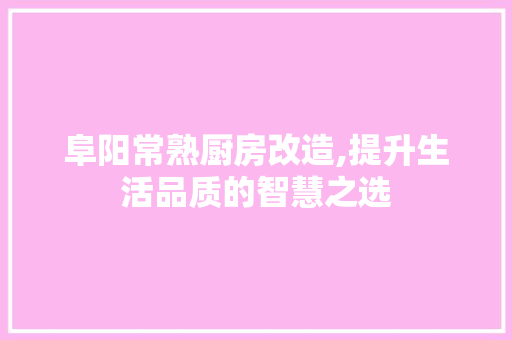 阜阳常熟厨房改造,提升生活品质的智慧之选 墙体维修