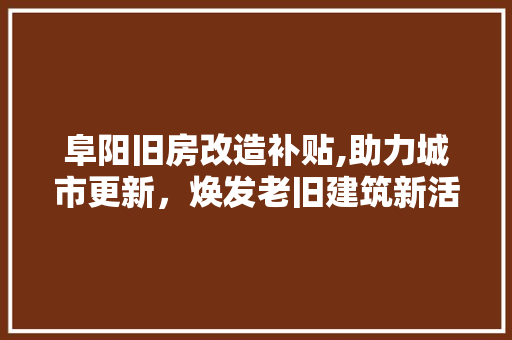 阜阳旧房改造补贴,助力城市更新，焕发老旧建筑新活力