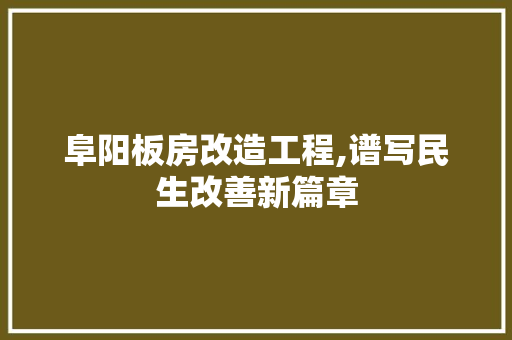 阜阳板房改造工程,谱写民生改善新篇章 墙体维修