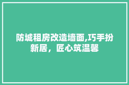防城租房改造墙面,巧手扮新居，匠心筑温馨