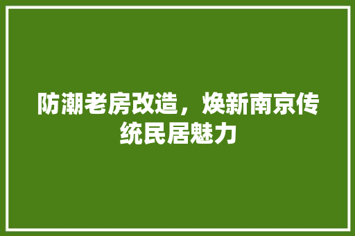 防潮老房改造，焕新南京传统民居魅力