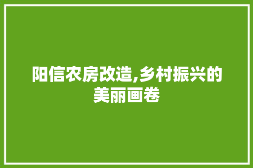 阳信农房改造,乡村振兴的美丽画卷