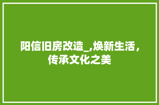 阳信旧房改造_,焕新生活，传承文化之美 墙体维修