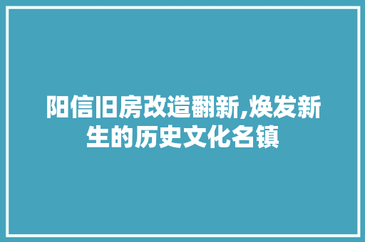 阳信旧房改造翻新,焕发新生的历史文化名镇