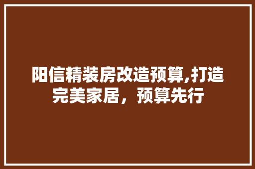 阳信精装房改造预算,打造完美家居，预算先行