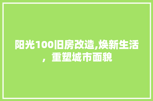 阳光100旧房改造,焕新生活，重塑城市面貌