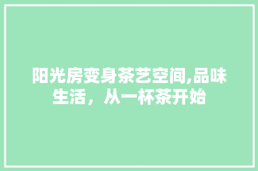 阳光房变身茶艺空间,品味生活，从一杯茶开始