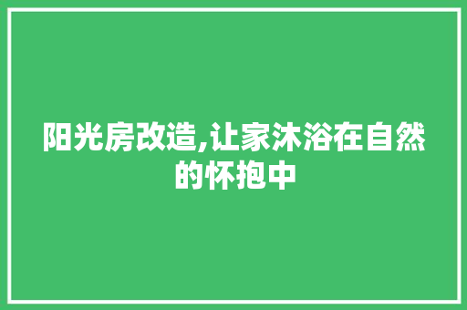 阳光房改造,让家沐浴在自然的怀抱中 墙体维修