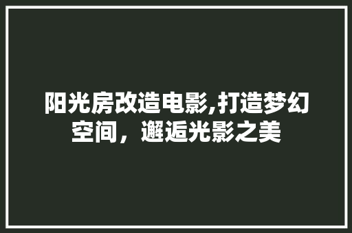 阳光房改造电影,打造梦幻空间，邂逅光影之美
