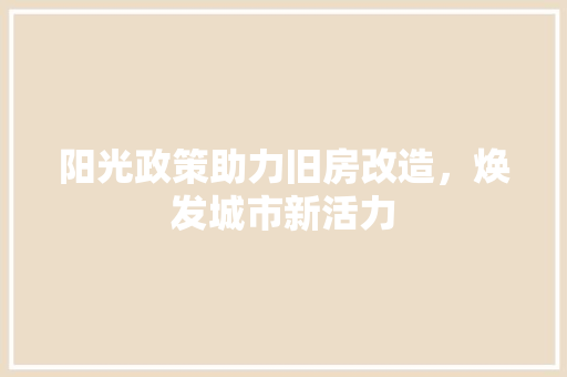 阳光政策助力旧房改造，焕发城市新活力
