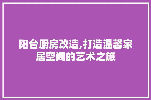 阳台厨房改造,打造温馨家居空间的艺术之旅