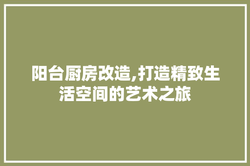 阳台厨房改造,打造精致生活空间的艺术之旅