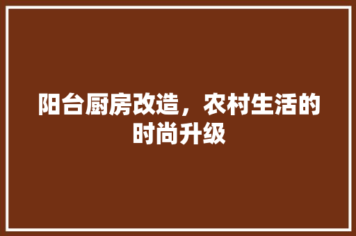 阳台厨房改造，农村生活的时尚升级
