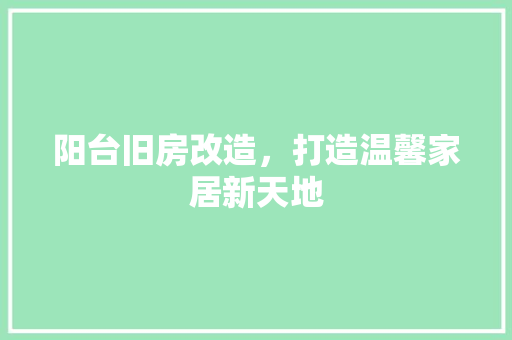 阳台旧房改造，打造温馨家居新天地