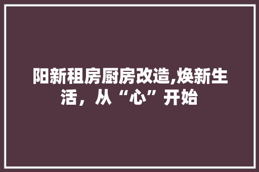 阳新租房厨房改造,焕新生活，从“心”开始