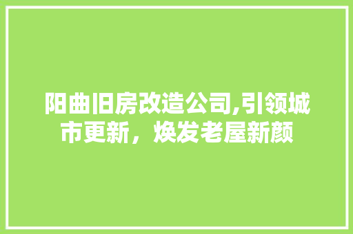 阳曲旧房改造公司,引领城市更新，焕发老屋新颜
