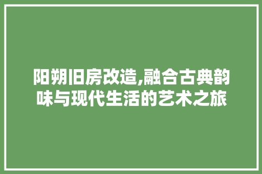 阳朔旧房改造,融合古典韵味与现代生活的艺术之旅