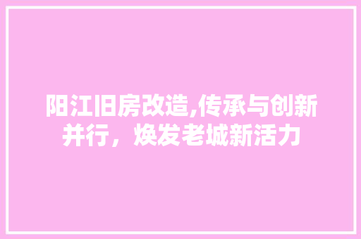 阳江旧房改造,传承与创新并行，焕发老城新活力