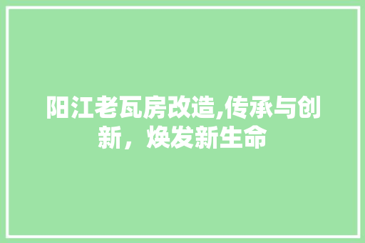 阳江老瓦房改造,传承与创新，焕发新生命