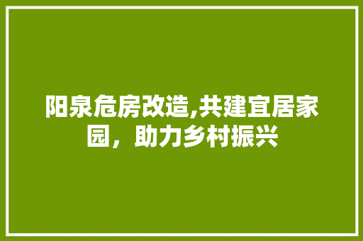阳泉危房改造,共建宜居家园，助力乡村振兴