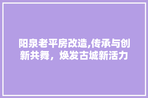 阳泉老平房改造,传承与创新共舞，焕发古城新活力