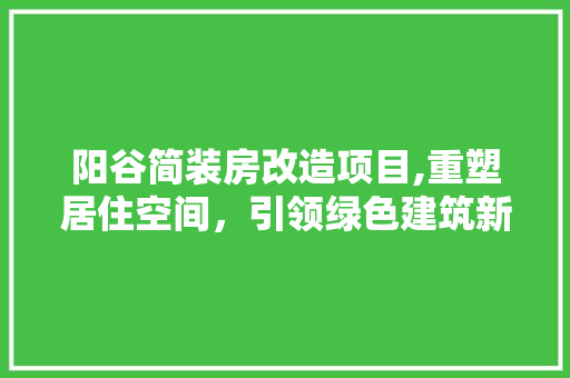 阳谷简装房改造项目,重塑居住空间，引领绿色建筑新潮流