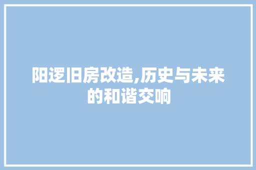 阳逻旧房改造,历史与未来的和谐交响