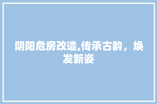 阴阳危房改造,传承古韵，焕发新姿