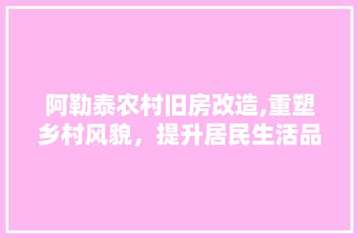 阿勒泰农村旧房改造,重塑乡村风貌，提升居民生活品质