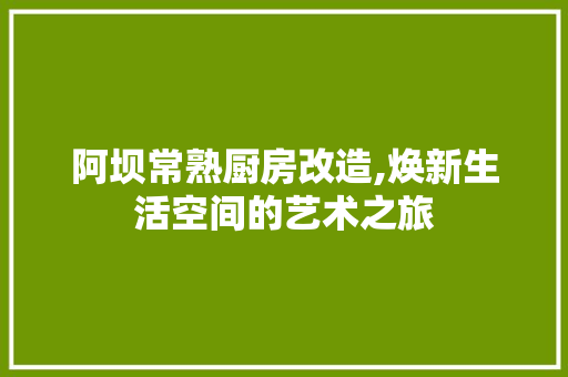 阿坝常熟厨房改造,焕新生活空间的艺术之旅