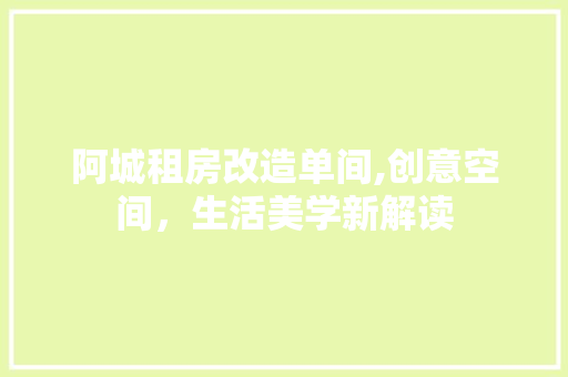 阿城租房改造单间,创意空间，生活美学新解读