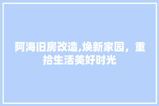 阿海旧房改造,焕新家园，重拾生活美好时光