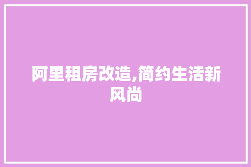 阿里租房改造,简约生活新风尚