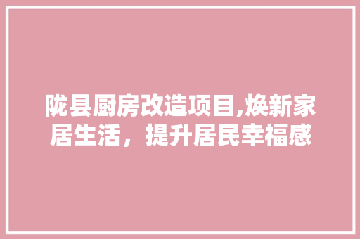 陇县厨房改造项目,焕新家居生活，提升居民幸福感