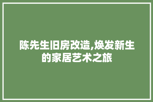 陈先生旧房改造,焕发新生的家居艺术之旅