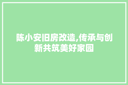 陈小安旧房改造,传承与创新共筑美好家园